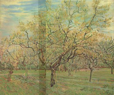 Vincent Van Gogh The White Orchard (nn04) oil painting image